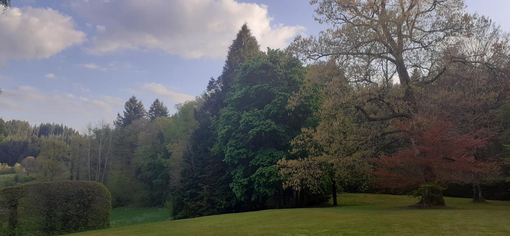 Domaine De Marchal - Et Table D'hotes Bed & Breakfast *